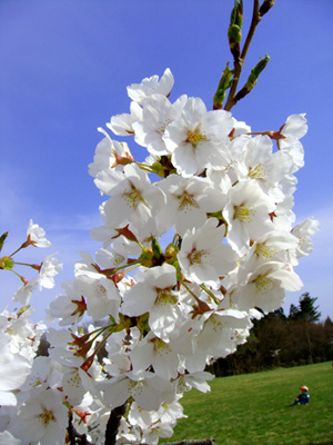 20090420.jpg